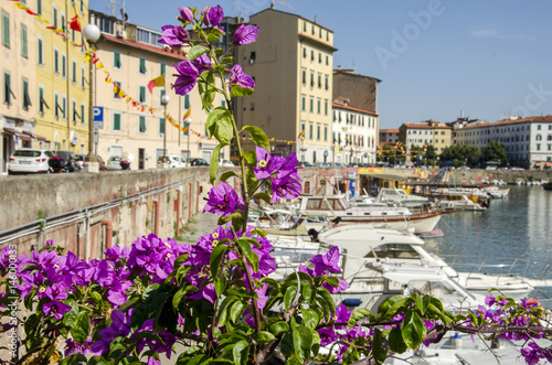 Livorno rione Pontino photo