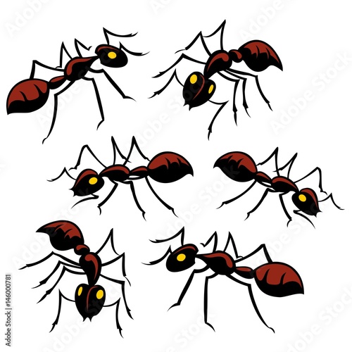 Six creepy crawly ants