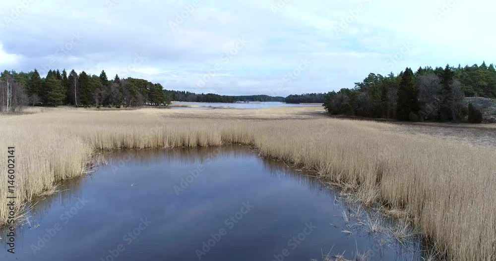 Finnish archipelago, Cinema 4k aerial view over a bed of reeds and then revealing the finnish archipelago at Skaldo, near tammisaari national park, in Finland