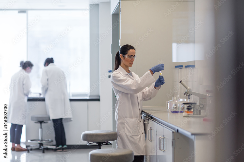 Female scientist working in a science laboratory Female scientist working in a science laboratory