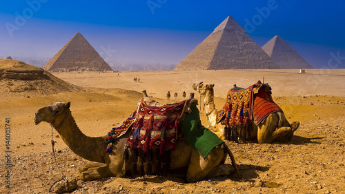 Egyptian pyramids at sunset and Camels- Egypt Travel