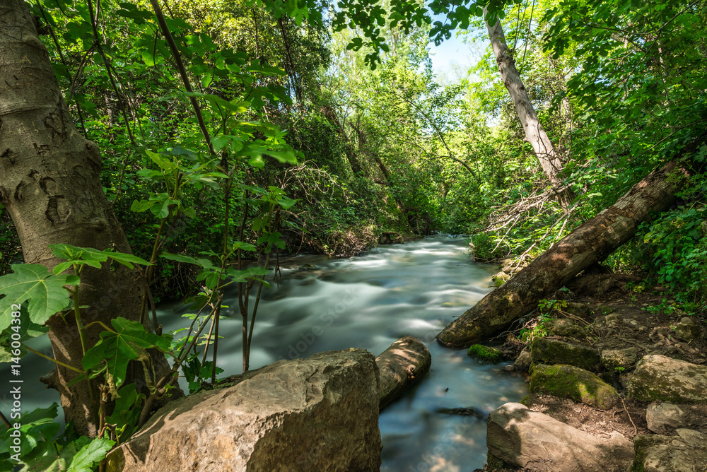 Banias nature reserve, Golan Heights, Israel Banias nature reserve, Golan Heights, Israel