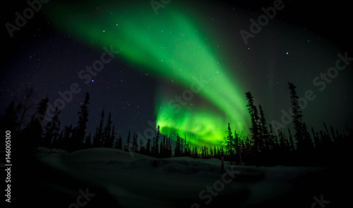Fototapeta Naklejka Na Ścianę i Meble -  Alaska Aurora Northern Lights