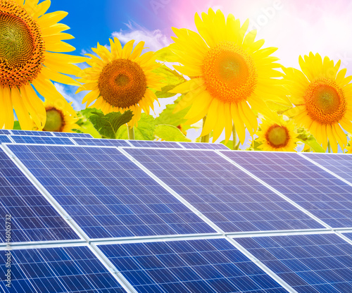 Solar panels and sunflowers landscape