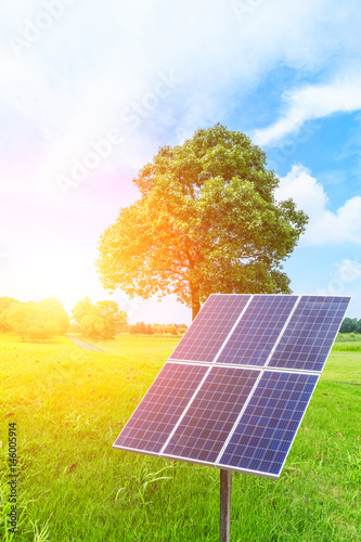 Solar panels on green grass with blue sky