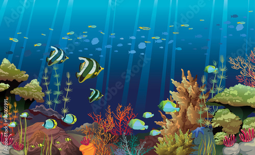 Coral reef with underwater creatures.