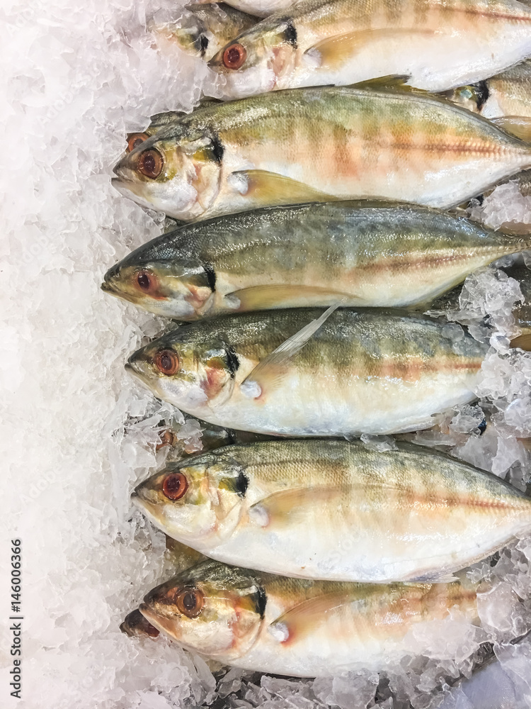 Yellow-stripe trevally Fish