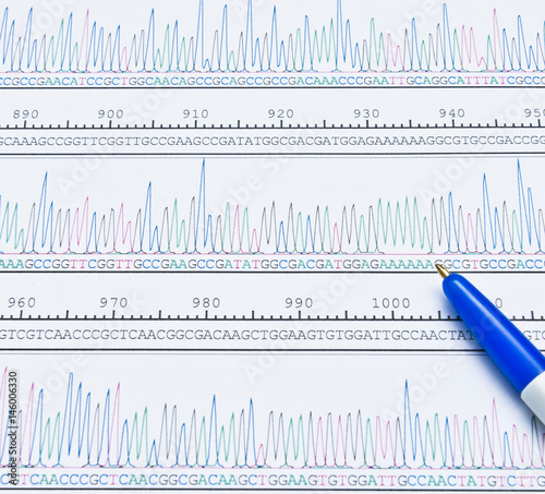 DNA sequence analysis by chromatogram peaks