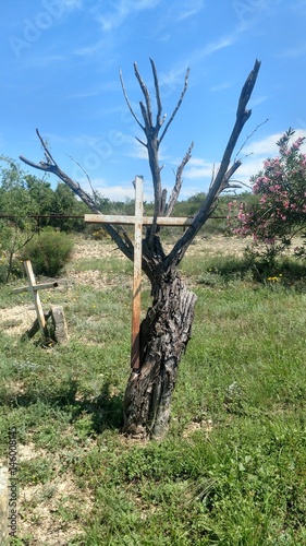 Cemetery Cross Hanging on a Tree