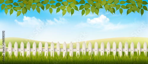 Beautiful summer countryside landscape background. Vector.