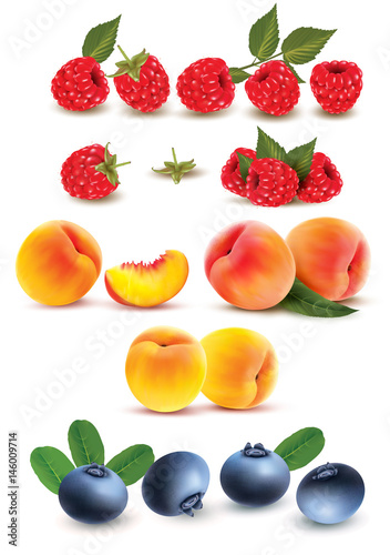 Collection of fruit and berries. Raspberry  peach  blueberry. Vector Set