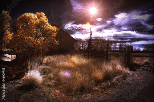 Infrared Tree, Fence, Field, Sky and Sun Flare