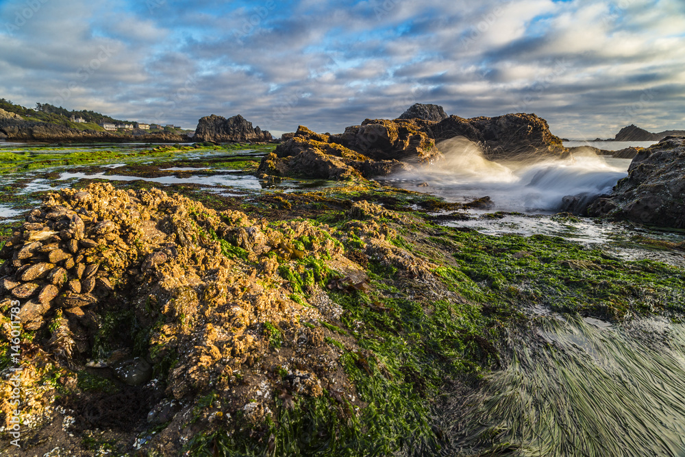 Fotografie waves crashing on beach at low tide