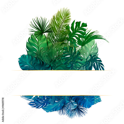 Tropical palm leaves set, drawn vector collection. Isolated on background. Decorative elements, botanical pattern. Trendy Card for invitation, greetings, sale promotion, wedding, banner.