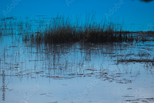 Naklejka blue Pond