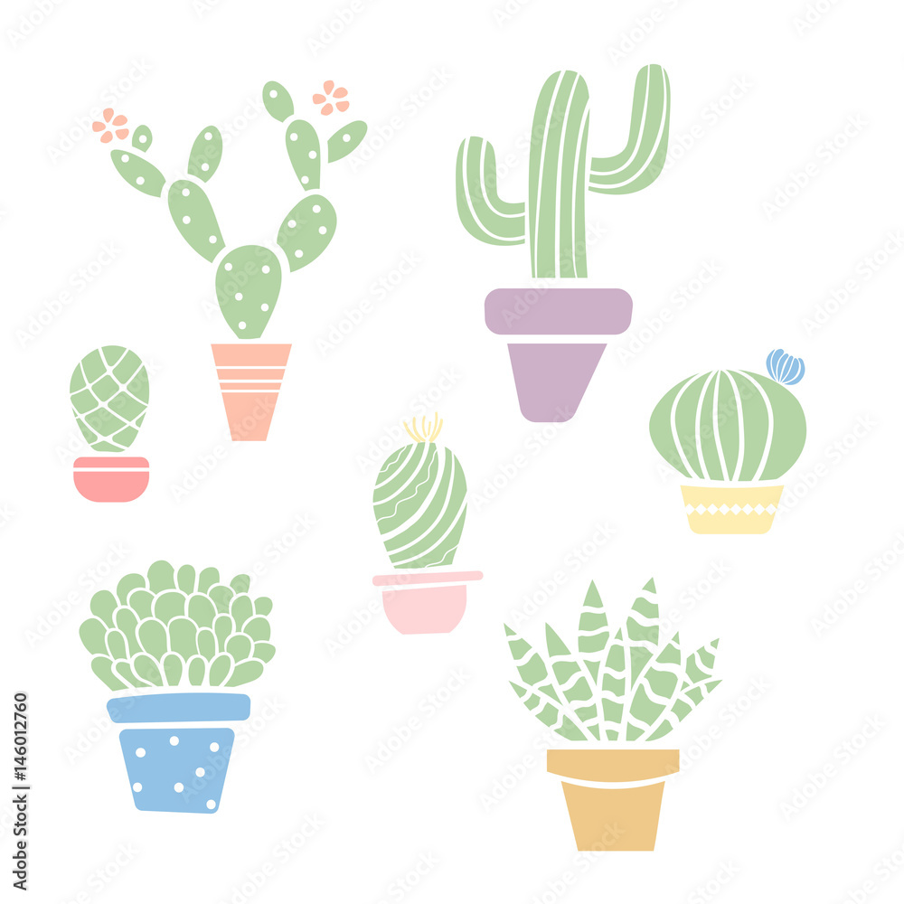 Several flower pots with cactus Several flower pots with cactus