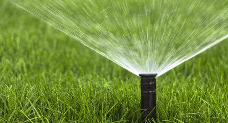 automatic sprinkler system watering the lawn on a background of green grass