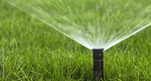 automatic sprinkler system watering the lawn on a background of green grass photo