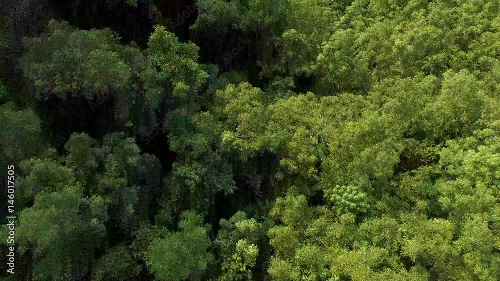 Aerial View. Flying over the beautiful mountain and beautiful forest. Aerial camera shot. Aerial View. Flying over the beautiful mountain and beautiful forest. Aerial camera shot.