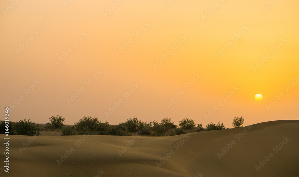 Sunset in the Thar desert