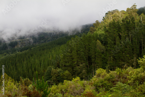 mountainside in hogsback south africa