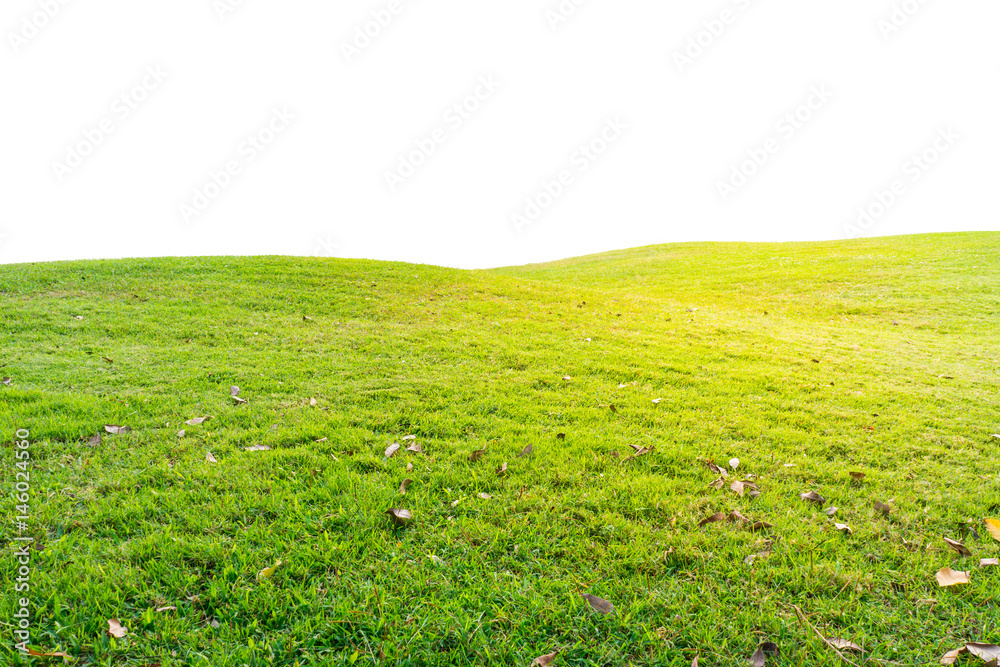 Mound with grasses covering it. It is isolated on white background.