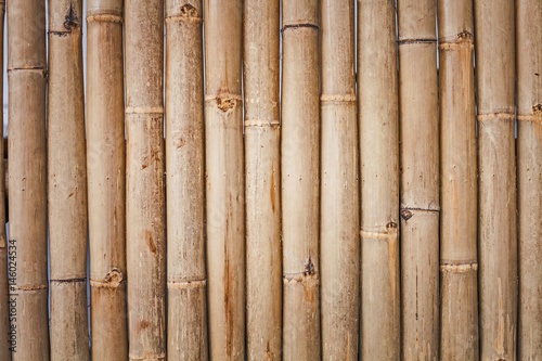 Bamboo cross texture 