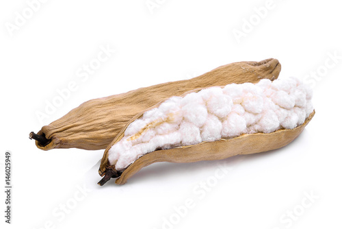 White silk cotton(Bombax ceiba) isolated on white background