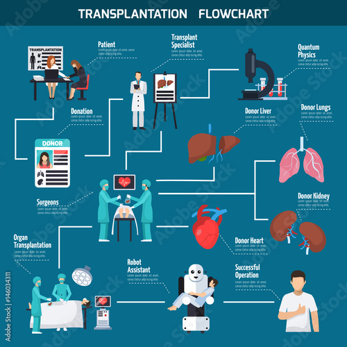 Transplantation Flowchart Layout 