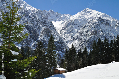 Spring in the alps