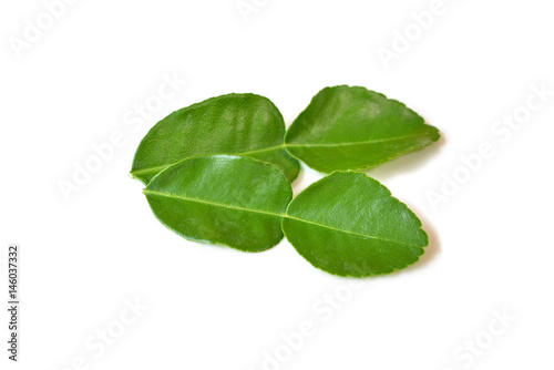 Kaffir lime leaves on white background - isolated