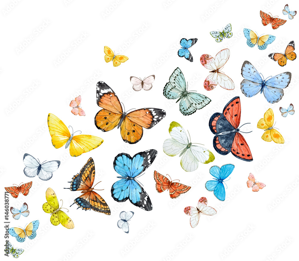 Fototapeta premium pastelowe motyle