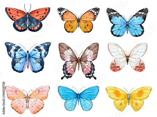 Watercolor butterflies set © zenina