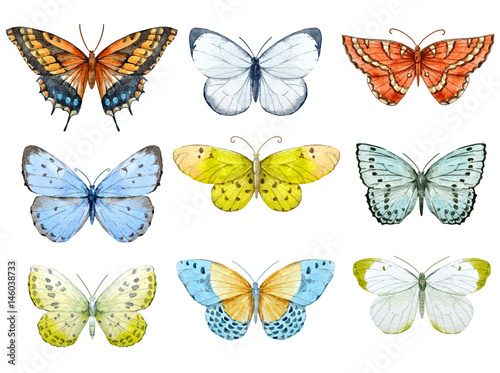 Photography Watercolor butterflies set