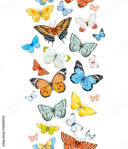 Watercolor butterfly pattern © zenina