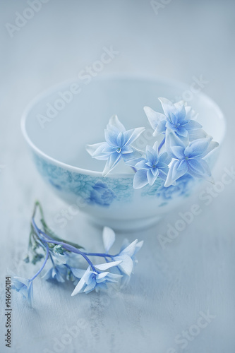 Beautiful blue hydrangea flowers close-up in a vase on a light background. 