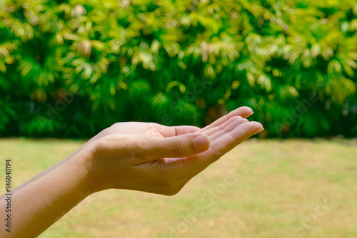 Hand in garden