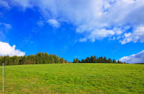 Green Grass Field Landscape and blue sky.