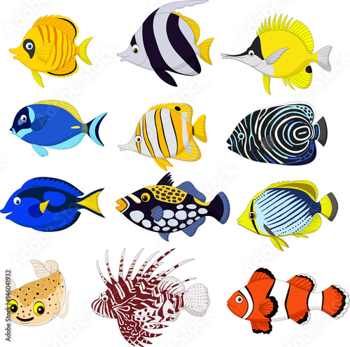 Cartoon tropical fish collection set