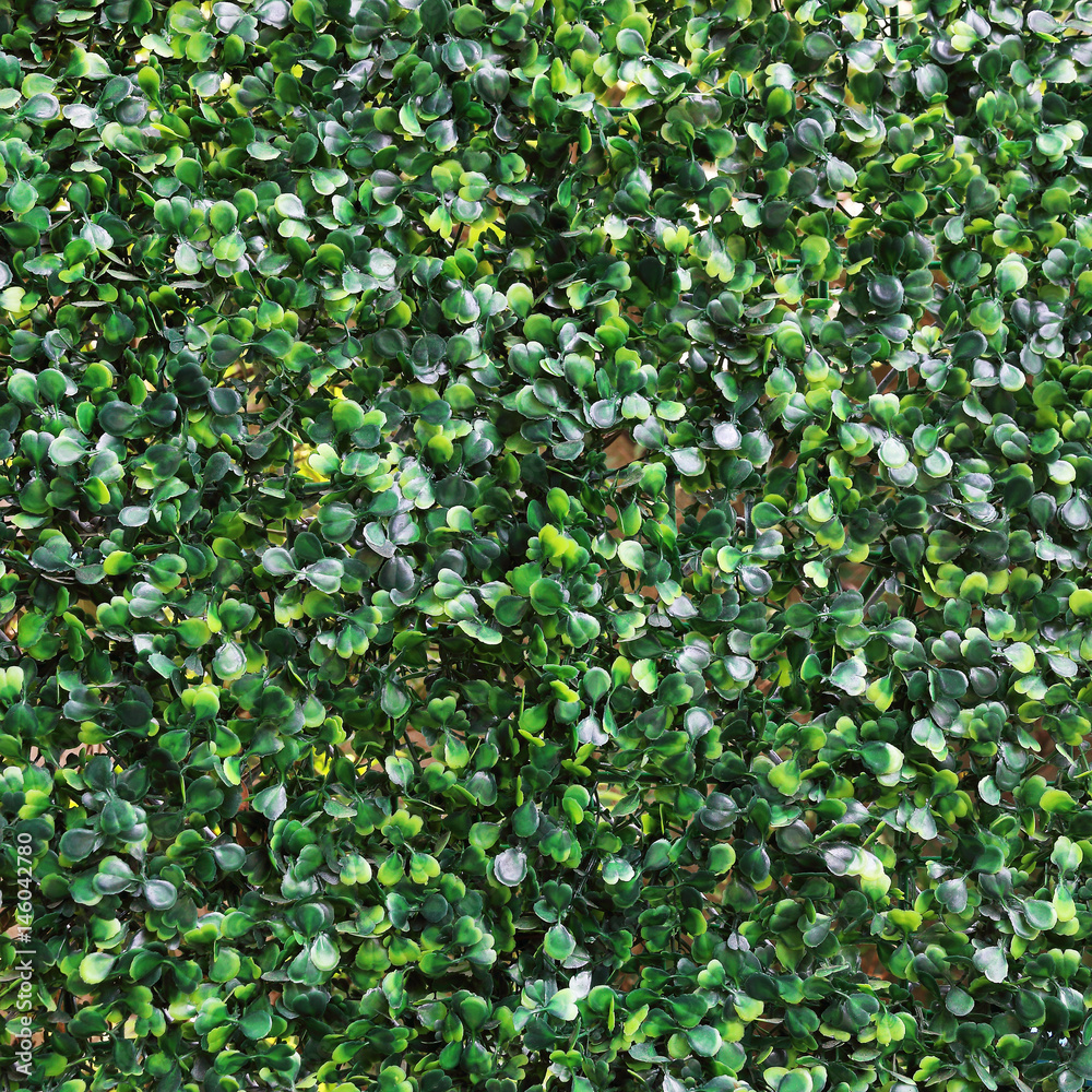 artificial dark green leaf background artificial dark green leaf background