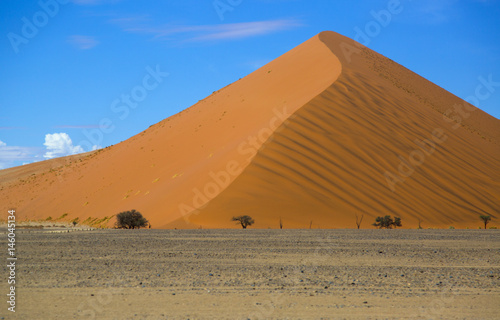 Fototapeta Naklejka Na Ścianę i Meble -  Namib desert in Sossusvlei region  Namibia March