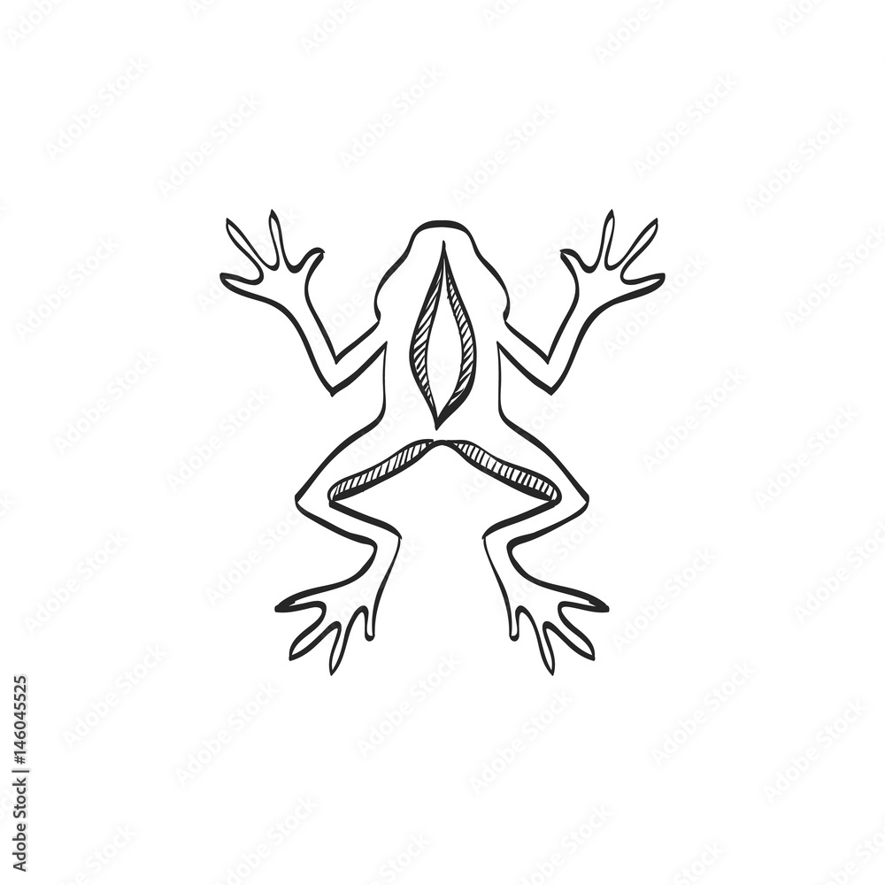 Sketch icon - Lab frog Sketch icon - Lab frog