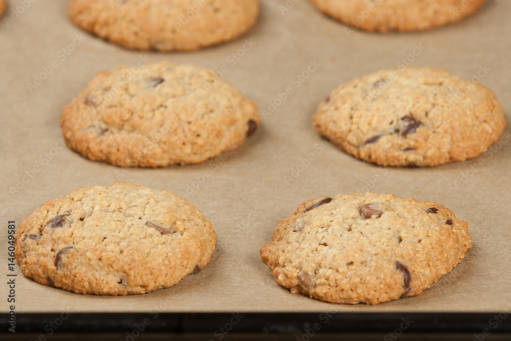 Home Baked Oat Cookies With Coconut And Chocolate. Home Baked Oat Cookies With Coconut And Chocolate.