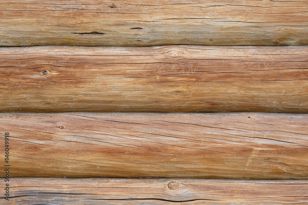 Fototapeta premium Background wall of pine logs.