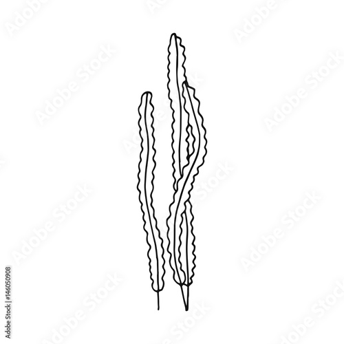 Alga vector