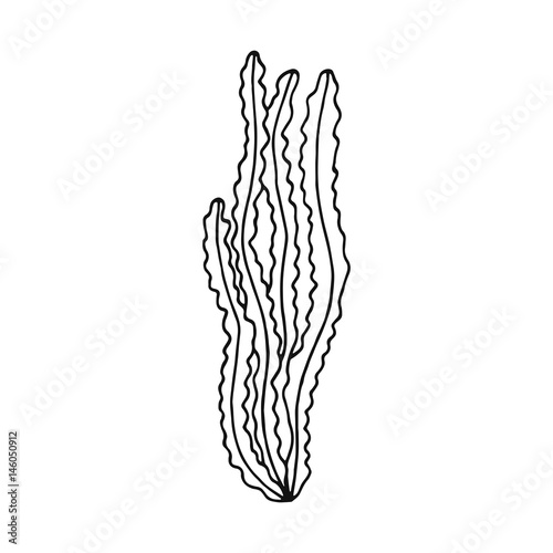 Alga vector hand drawing