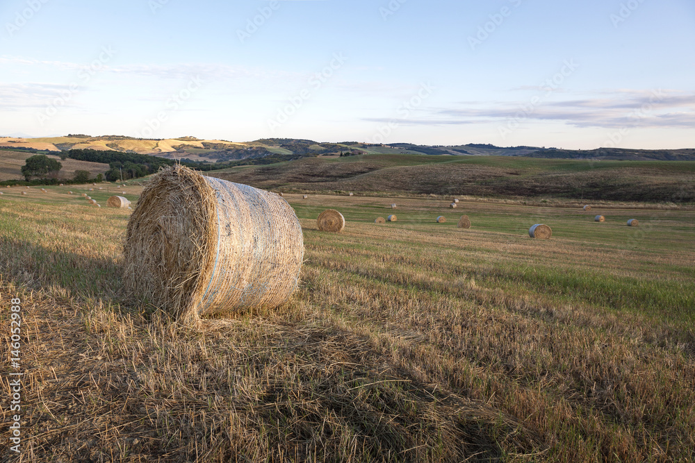 Hay Bales Field Harvest

