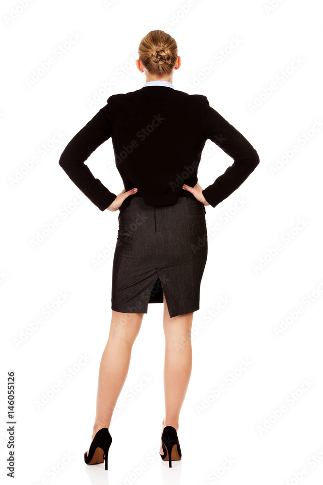 Fototapeta premium Back view of elegant businsess woman