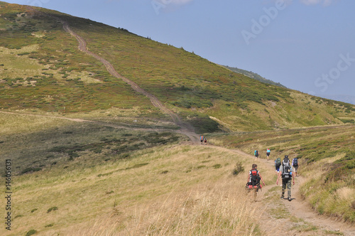 Group of tourists with backpacks in the mountains in summer