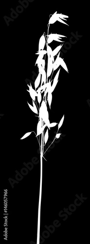 oat white silhouette on black